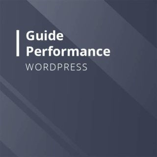 Guide amélioration de la performance WordPress