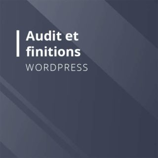 Audit et Finitions WordPress avec WP Zen