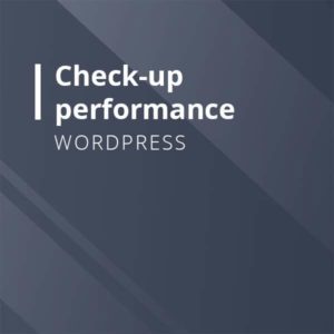 Check-up Performance de son site Wordpress avec WP Zen