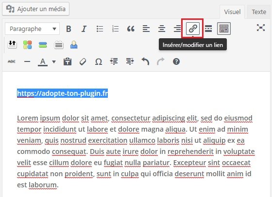 Ajouter un lien dans un article WordPress