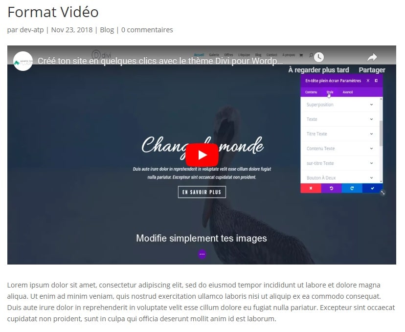 Aperçu du format de publication Vidéo avec Divi pour WordPress