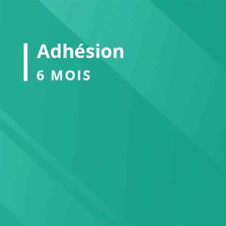 Adhésion 6 mois WP Zen