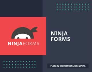 Ninja Forms addons (basic pack)