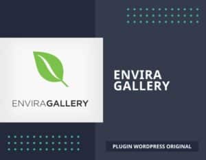 Envira Gallery, plugin WordPress