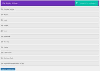 Interface Divi Booster