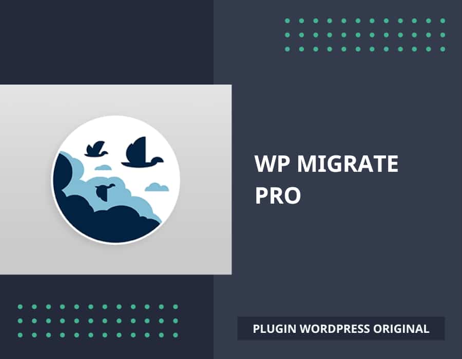 WP Migrate Pro, plugin de migration de sites WordPress
