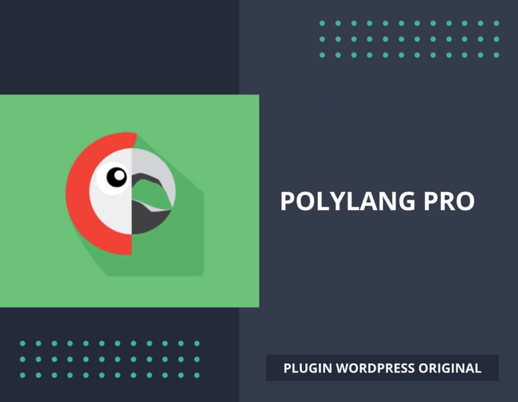 Polylang Pro, plugin WordPress