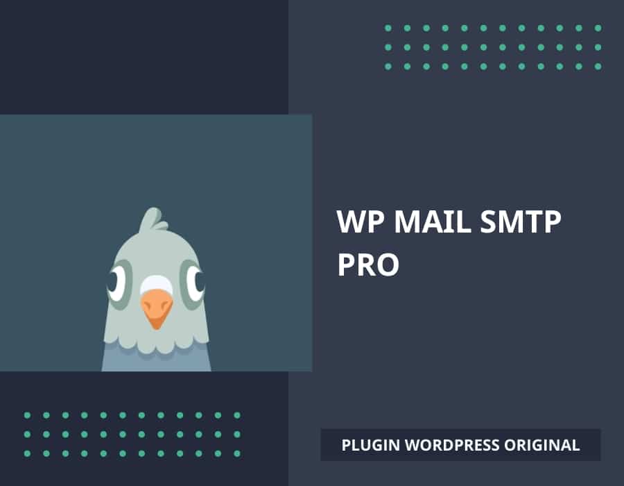 WP Mail Smtp Pro, plugin WordPress