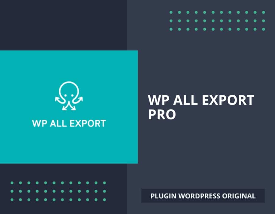 WP All Export Pro, plugin WordPress